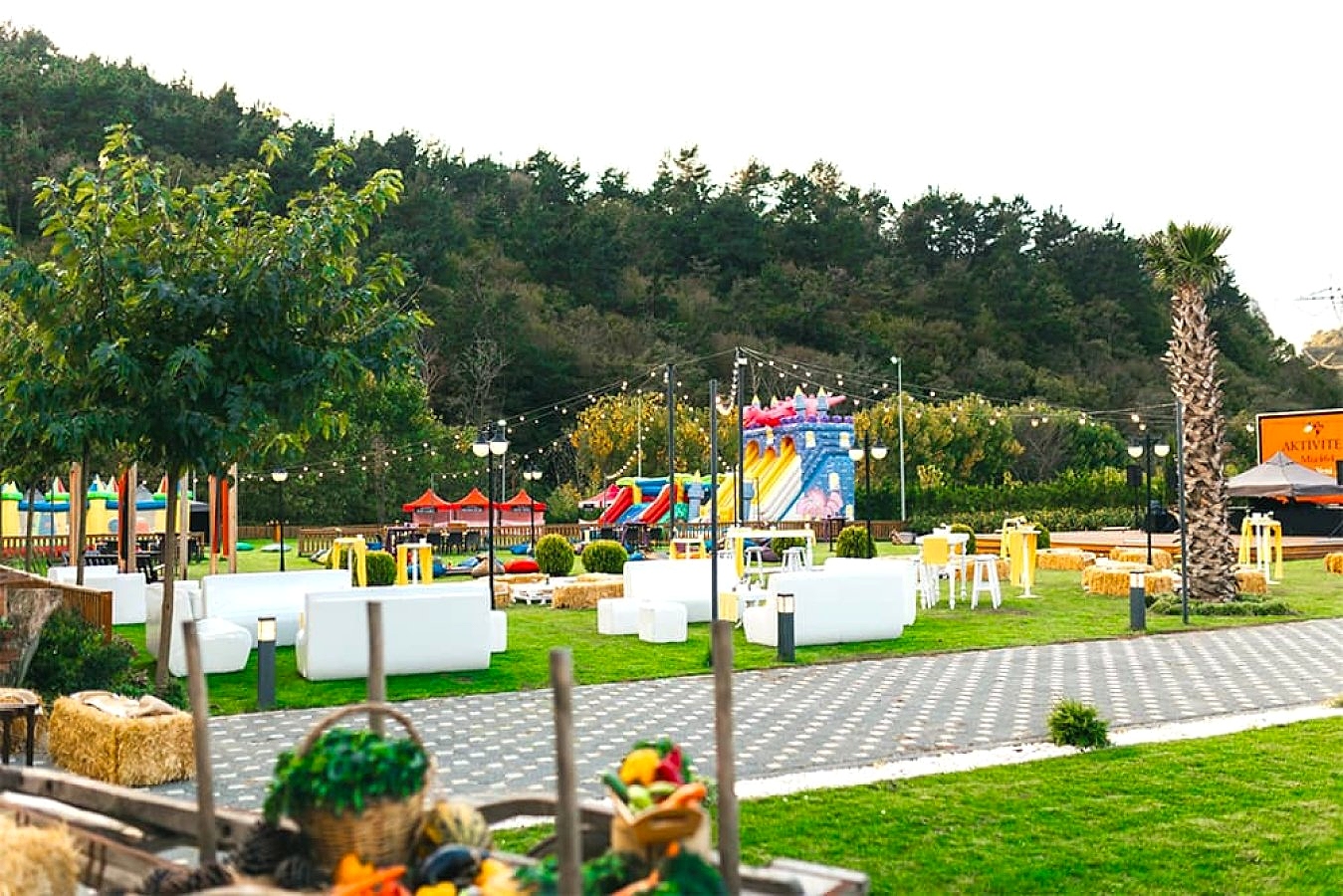 Mia464 Etkinlik Mekânı