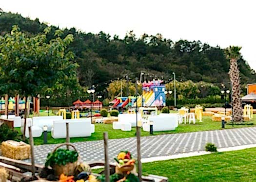 Şirket Yemeklerinden Özel Davetlere