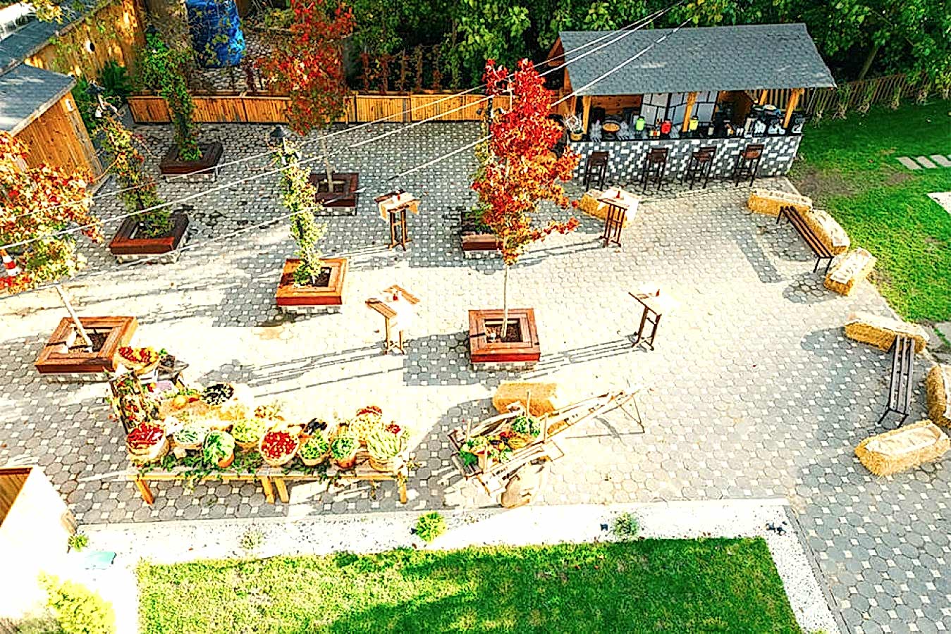 Kurumsal Organizasyonlar